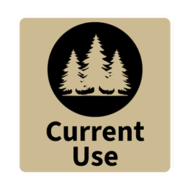 Current Use